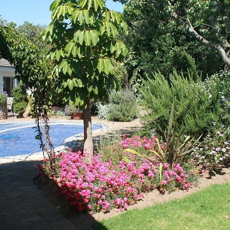 Clouds Guest House Durbanville Exterior photo