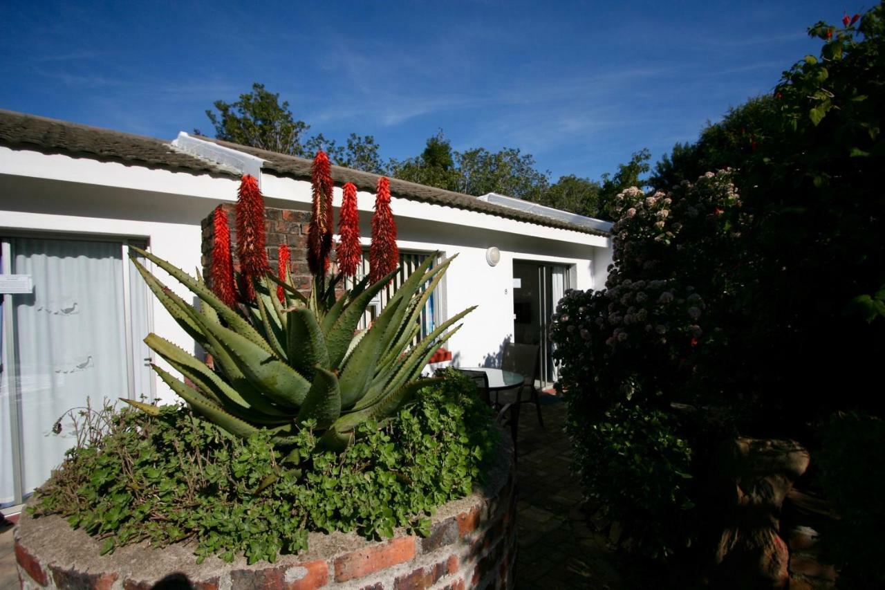 Clouds Guest House Durbanville Exterior photo